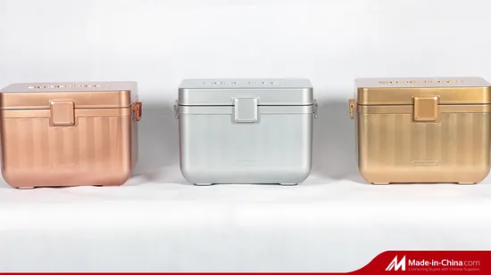 Plastic Cooler Box Handle Cooler Box for Car and Cosmetics Beer Ice Cooler Box