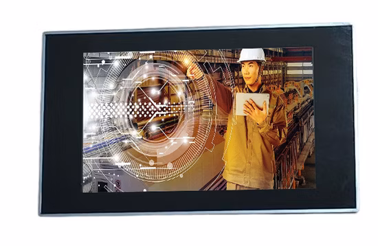 Display TFT con modulo LCD Golden Vision Schermo LCD IPS da 7 pollici 800*480